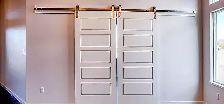Glass Barn Door with Installation Hardware Kit Allen