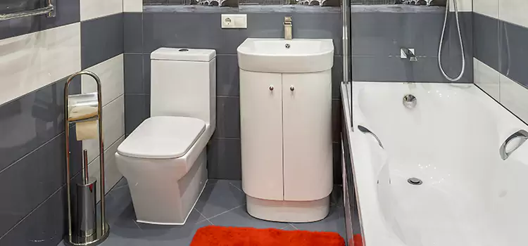Hansgrohe Shaving Mirror Allen